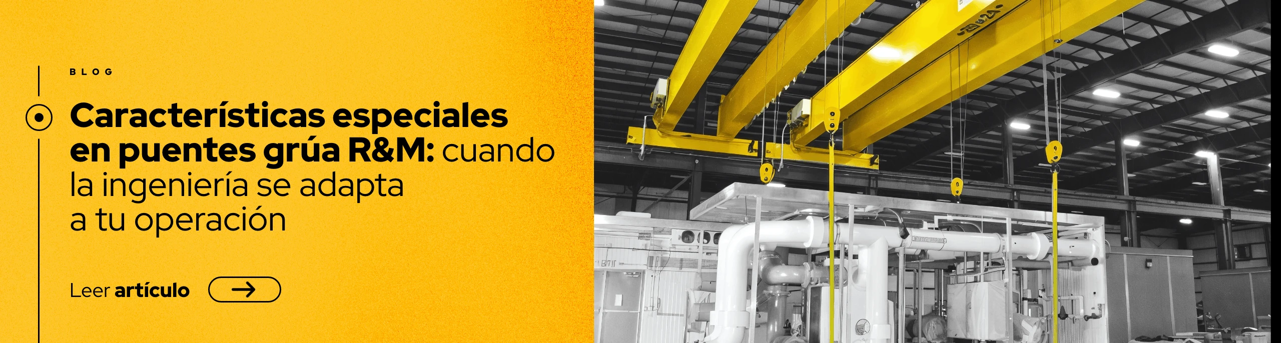 Características especiales en puentes grúa R&M: cuando la ingeniería se adapta a tu operación